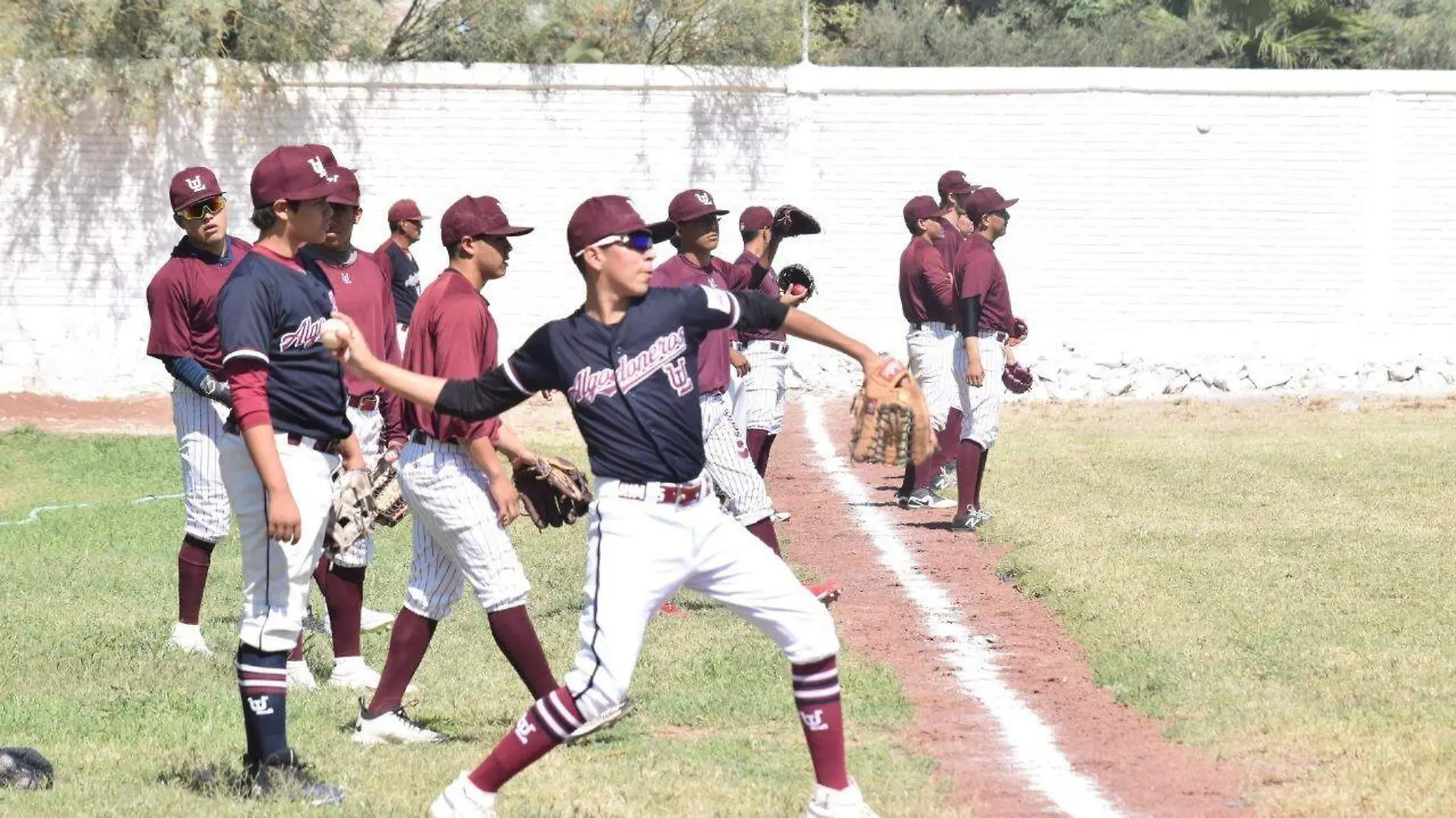 Sigue actividad de la Liga Mayor de Beisbol de La Laguna